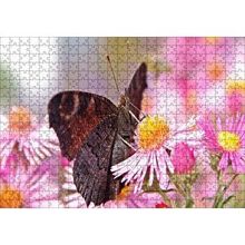 Cakapuzzle Mor Çiçeklerin Üzerindeki Kahverengi Kelebek 120 Parça Ahşap Puzzle