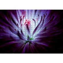 Cakapuzzle Mor Papatya Makro Çekim 120 Parça Ahşap Puzzle