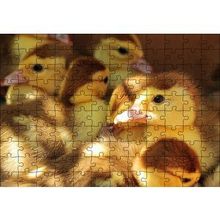 Cakapuzzle Ördek Yavruları 120 Parça Ahşap Puzzle