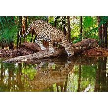 Cakapuzzle Ormanda Su İçen Leopar Görseli 120 Parça Ahşap Puzzle