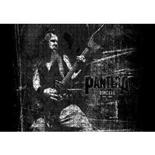Cakapuzzle Pantera Dimebag Darrell Gitar Çalıyor 120 Parça Ahşap Puzzle