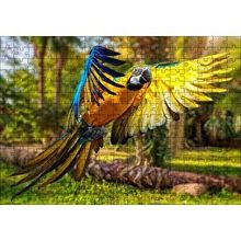 Cakapuzzle Papağan Mavi Turuncu Sarı Ormanda Uçuyor 120 Parça Ahşap Puzzle