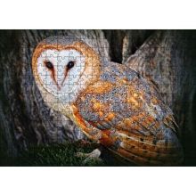 Cakapuzzle Peçeli Baykuş Türü 120 Parça Ahşap Puzzle