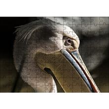 Cakapuzzle Pelikan Yakın Çekim 120 Parça Ahşap Puzzle