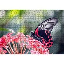 Cakapuzzle Pembe Çiçekler ve Siyah Kırmızı Kelebek 120 Parça Ahşap Puzzle