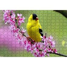 Cakapuzzle Pembe Çiçekli Dalda Sarı Siyah Kuş 120 Parça Ahşap Puzzle