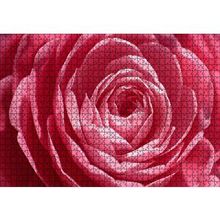 Cakapuzzle Pembe Gül Makro 120 Parça Ahşap Puzzle