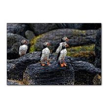 Cakapuzzle Puffin Bird Beak Rock 120 Parça Ahşap Puzzle