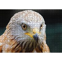Cakapuzzle Şahin Keskin Gözler Yakın Çekim 120 Parça Ahşap Puzzle