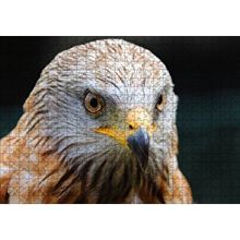 Cakapuzzle Şahin Yakın Çekim 120 Parça Ahşap Puzzle