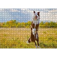Cakapuzzle Sarı Çayırda Zıplayan Kahverengi Beyaz Köpek Yapboz MDF Puzzle