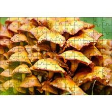 Cakapuzzle Sarı Mantarlar 120 Parça Ahşap Puzzle
