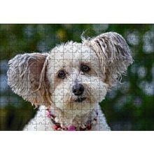 Cakapuzzle Sevimli Beyaz Terrier 120 Parça Ahşap Puzzle