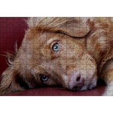 Cakapuzzle Sevimli Kahverengi Köpek Yakın Çekim 120 Parça Ahşap Puzzle