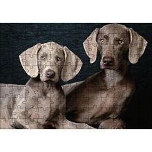 Cakapuzzle Sevimli Kahverengi Weimaranerler 120 Parça Ahşap Puzzle