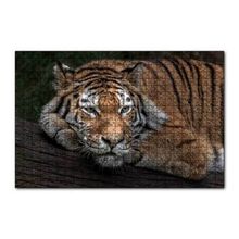Cakapuzzle Sibirya Kaplanı Dalda Dinleniyor 120 Parça Ahşap Puzzle