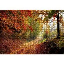Cakapuzzle Sonbahar Renkleri Yapraklar ve Ormandaki Patika 120 Parça Ahşap Puzzle