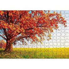 Cakapuzzle Sonbahar Renklerinde İhtiyar Ağaç 120 Parça Ahşap Puzzle