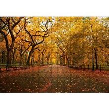 Cakapuzzle Sonbahar Sarı Kızıl Yapraklar Ağaçlı Yol 120 Parça Ahşap Puzzle