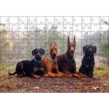 Cakapuzzle Sonbahar Yaprakları Üzerindeki 4 Köpek 120 Parça Ahşap Puzzle