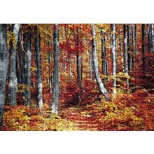 Cakapuzzle Sonbaharda Orman 120 Parça Ahşap Puzzle