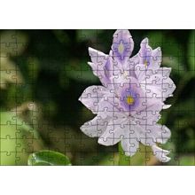 Cakapuzzle Sümbül Yakın Plan 120 Parça Ahşap Puzzle