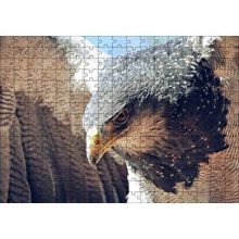 Cakapuzzle Süzülen Kartal Yakın Plan Puzzle