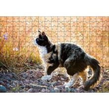 Cakapuzzle Taşların Üzerinde 3 Renk Kedi ve Sarı Otlar 120 Parça Ahşap Puzzle
