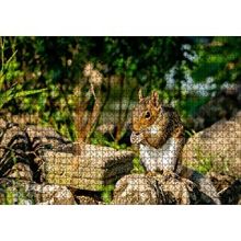 Cakapuzzle Taşların Üzerindeki Sevimli Küçük Sincap 120 Parça Ahşap Puzzle