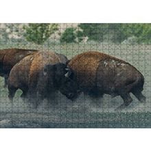 Cakapuzzle Toslaşan Bizonlar 120 Parça Ahşap Puzzle