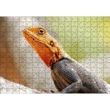 Cakapuzzle Turuncu Başlı Kertenkele Yakın Çekim 120 Parça Ahşap Puzzle