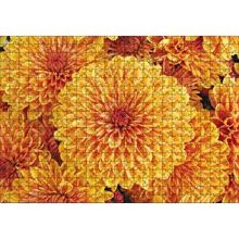 Cakapuzzle Turuncu Yıldız Çiçekleri 120 Parça Ahşap Puzzle