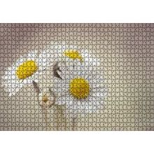 Cakapuzzle Üç Papatya Yakın Çekim Flu Arkaplan 120 Parça Ahşap Puzzle