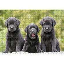 Cakapuzzle Üç Sevimli Siyah Yavru Köpek 120 Parça Ahşap Puzzle