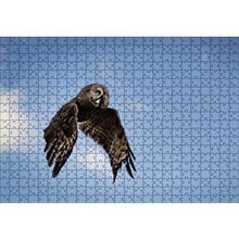 Cakapuzzle Uçan Baykuş 120 Parça Ahşap Puzzle