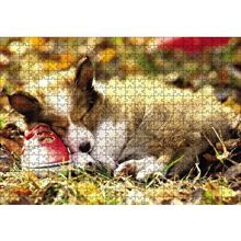 Cakapuzzle Uyuyan Yavru Köpek 120 Parça Ahşap Puzzle