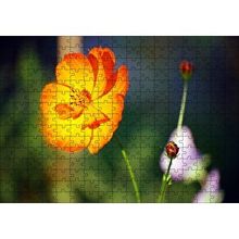 Cakapuzzle Yabani Portakal Çiçeği 120 Parça Ahşap Puzzle