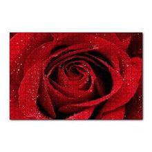 Cakapuzzle Yağmur Damlası Ve Güzel Gül Fotoğrafı 120 Parça Ahşap Puzzle