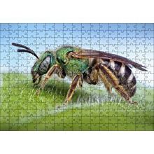 Cakapuzzle Yaprağın Üzerindeki Yaban Arısı Makro Çekim 120 Parça Ahşap Puzzle