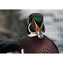 Cakapuzzle Yeşil Başlı Ördek Yakın Plan 120 Parça Ahşap Puzzle