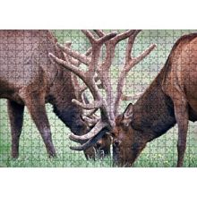 Cakapuzzle Yeşil Çayırda Otlayan Boynuzlu Geyikler 120 Parça Ahşap Puzzle