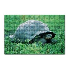 Cakapuzzle Yeşil Çayırdaki Kaplumbağa 120 Parça Ahşap Puzzle