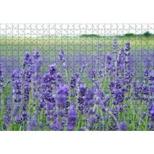 Cakapuzzle Yeşil Çayırlar ve Lavantalar 120 Parça Ahşap Puzzle