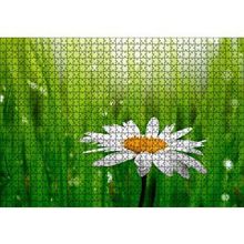 Cakapuzzle Yeşil Çimenler Papatya ve Su Damlaları 120 Parça Ahşap Puzzle