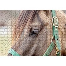 Cakapuzzle Yeşil Koşumlu Kahverengi At Yakın Çekim 120 Parça Ahşap Puzzle