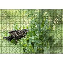 Cakapuzzle Yeşillikler İçinde Sığırcık Kuşu Görseli 120 Parça Ahşap Puzzle