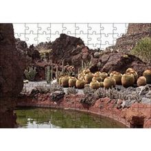 Cakapuzzle Yuvarlak Kaktüsler ve Kayalar 120 Parça Ahşap Puzzle