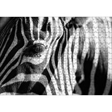 Cakapuzzle Zebra Yakın Çekim Siyah Beyaz 120 Parça Ahşap Puzzle
