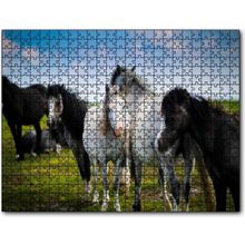Cakatablo Çayırda Siyah ve Beyaz Atlar 1000 Parça Puzzle