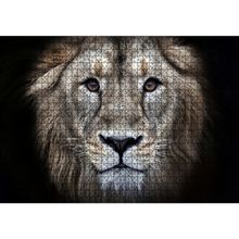 Cakatablo Erkek Aslan Siyah Zemin 1000 Parça Puzzle